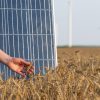Solar grain