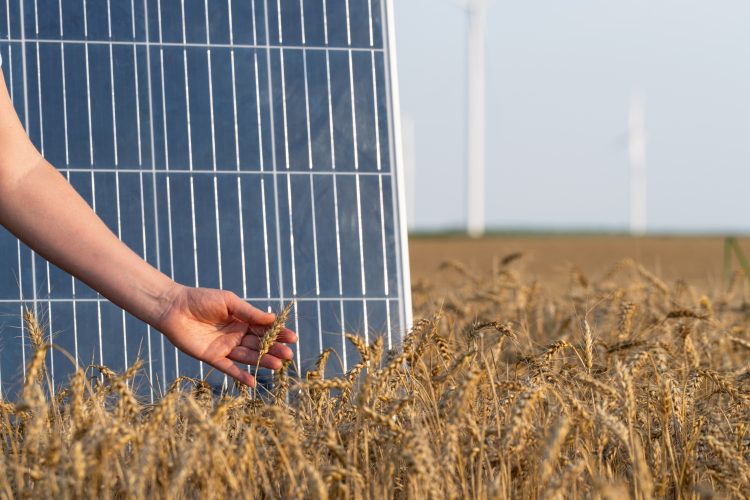 Solar grain - footer