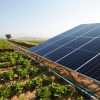 solar agripv