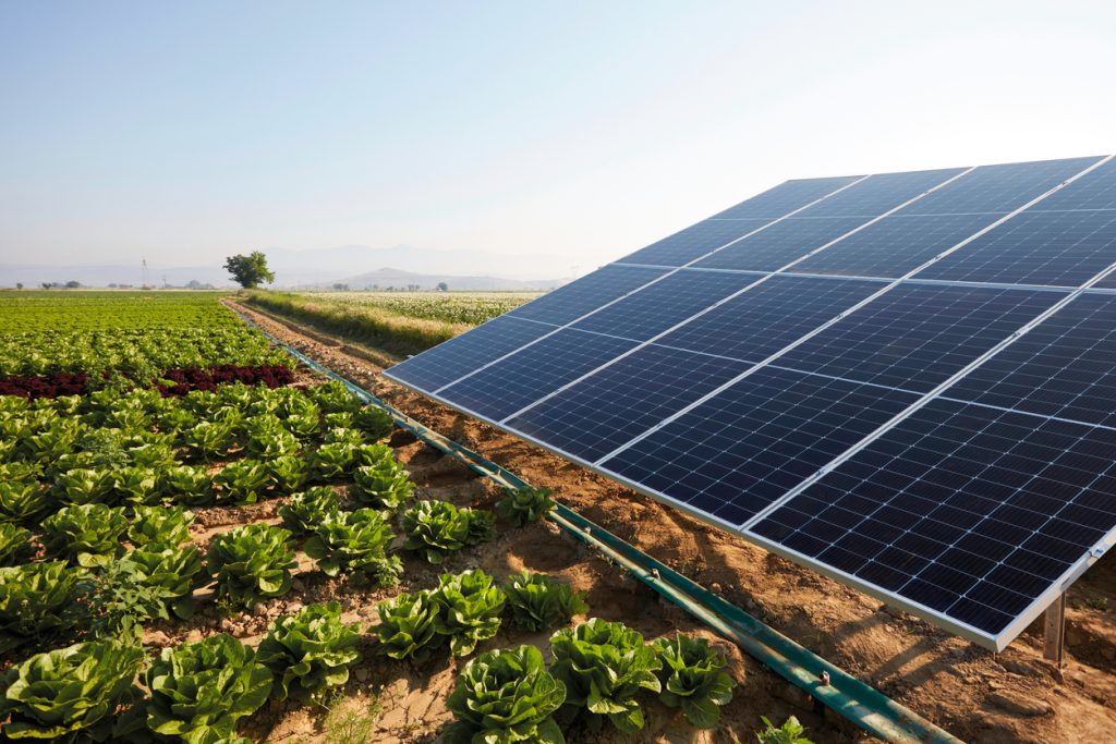 solar agripv
